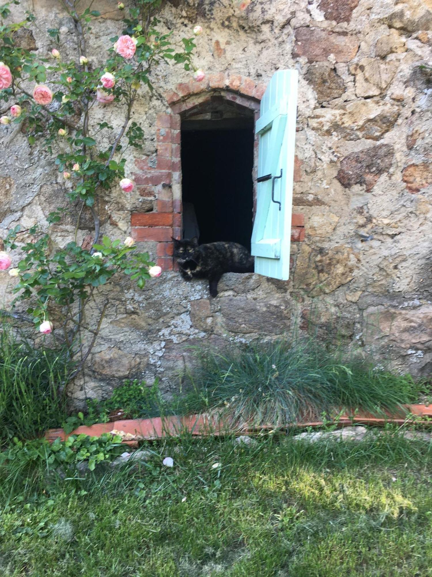 Saint-Alban-d'Ay Gites De Gobertier מראה חיצוני תמונה