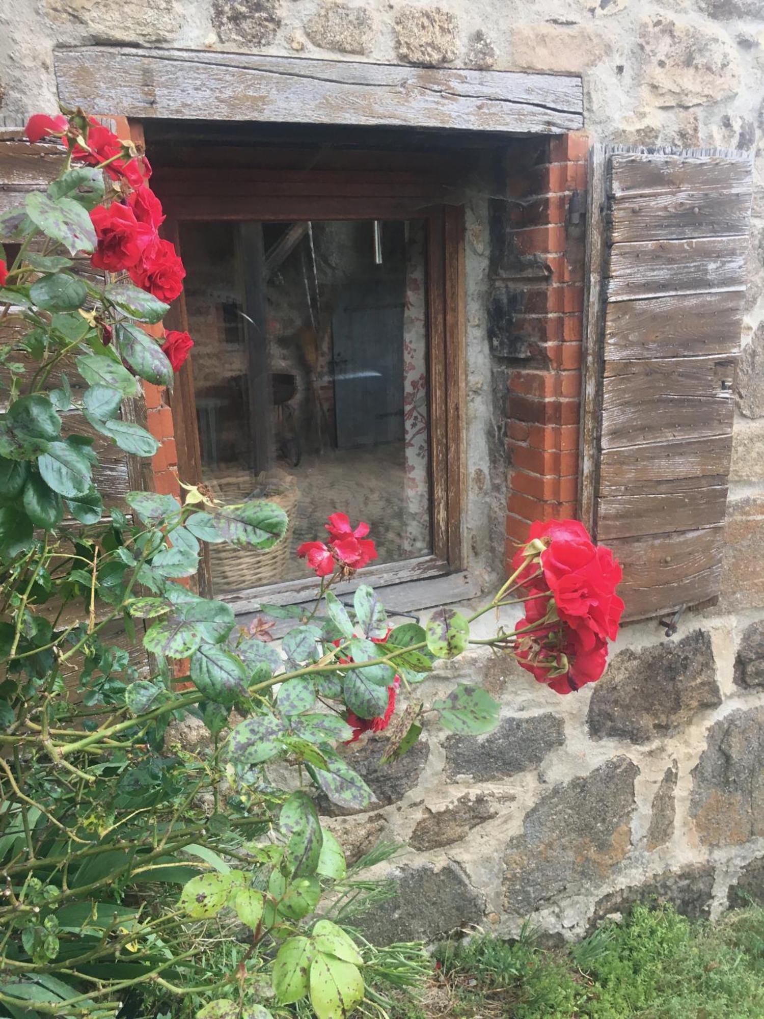 Saint-Alban-d'Ay Gites De Gobertier מראה חיצוני תמונה